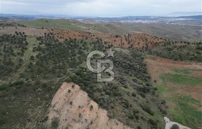 SEFERİHİSAR ULAMIŞTA 409 DÖNÜM FISTIK ÇAMI ARAZİSİ TAHSİS DEVRİ