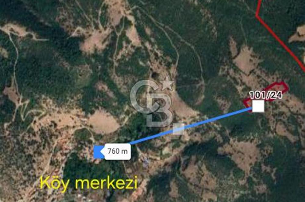 BİGADİÇ DOĞANÇAM DA YATIRIMLIK TARLA