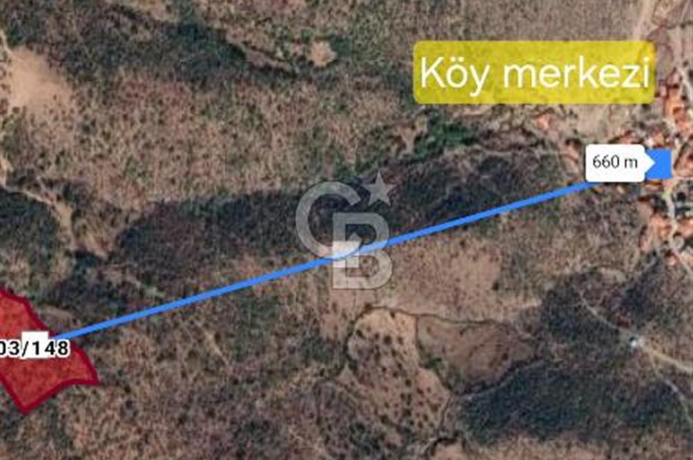 BİGADİÇ TOZAĞANDA FIRSAT TARLA