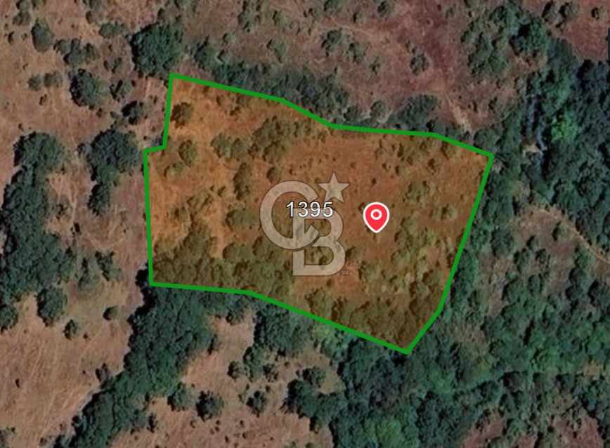 ÇANAKKALE ÇAN KOCAYAYLA SATILIK 4266 m2 ARAZİ