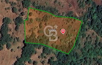 ÇANAKKALE ÇAN KOCAYAYLA SATILIK 4266 m2 ARAZİ