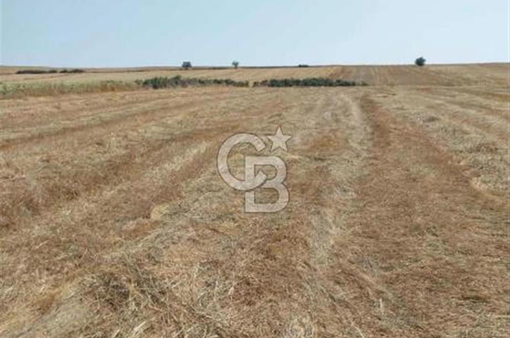 İSTANBUL SİLİVRİ'DE SATILIK TARLA