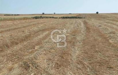 İSTANBUL SİLİVRİ'DE SATILIK TARLA