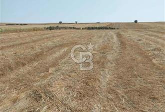 İSTANBUL SİLİVRİ'DE SATILIK TARLA - 1 - 331274