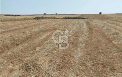 İSTANBUL SİLİVRİ'DE SATILIK TARLA