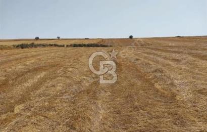 İSTANBUL SİLİVRİ'DE SATILIK TARLA