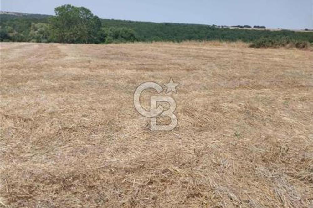 İSTANBUL SİLİVRİ'DE SATILIK TARLA