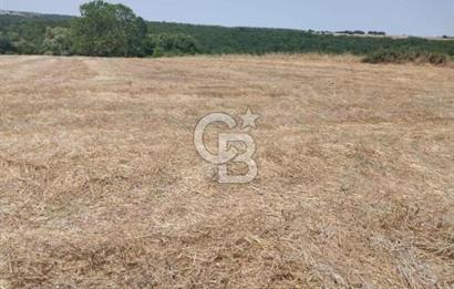 İSTANBUL SİLİVRİ'DE SATILIK TARLA