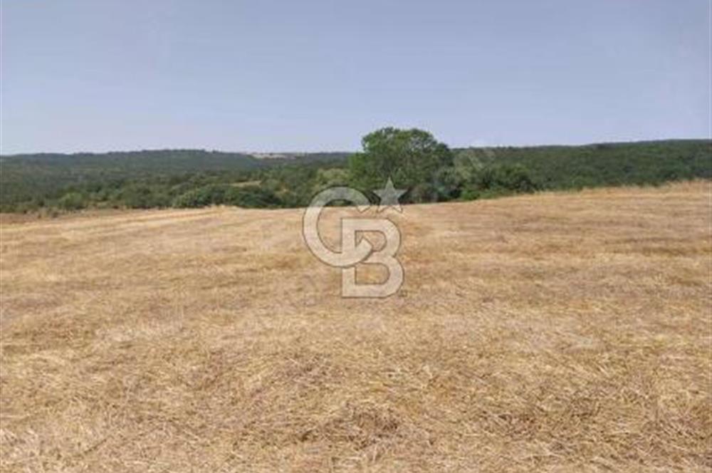 İSTANBUL SİLİVRİ'DE SATILIK TARLA