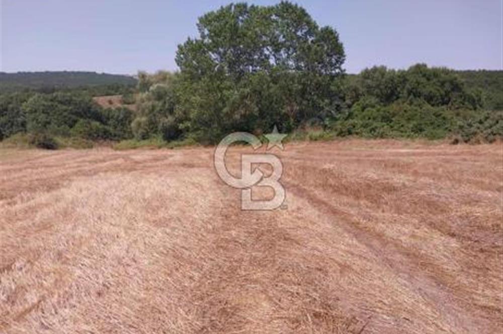 İSTANBUL SİLİVRİ'DE SATILIK TARLA