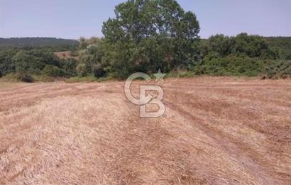 İSTANBUL SİLİVRİ'DE SATILIK TARLA