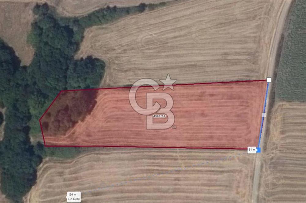 İSTANBUL SİLİVRİ'DE SATILIK TARLA