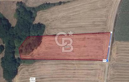 İSTANBUL SİLİVRİ'DE SATILIK TARLA