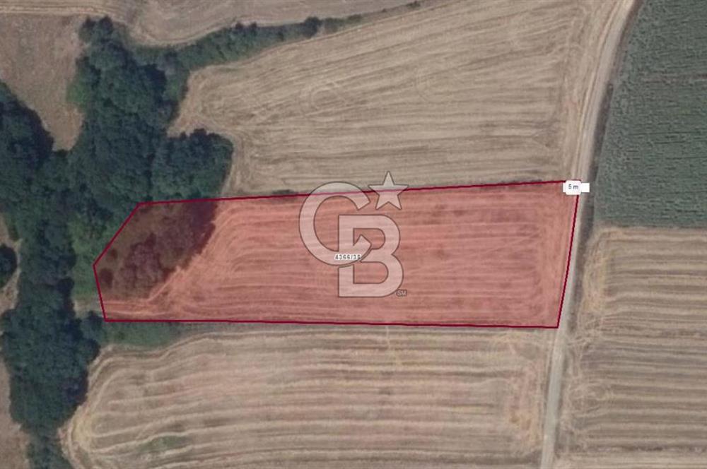 İSTANBUL SİLİVRİ'DE SATILIK TARLA