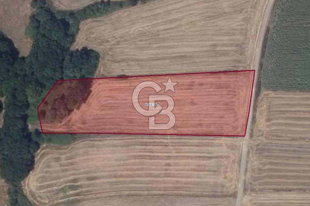 İSTANBUL SİLİVRİ'DE SATILIK TARLA