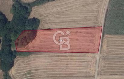 İSTANBUL SİLİVRİ'DE SATILIK TARLA