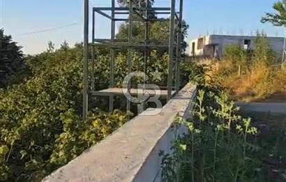 HENDEK DEREKÖY YOLA 155 M CEPHE İÇİNDE EV OLAN 0.40 KONUT İMARLI