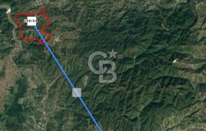 HENDEK DEREKÖY YOLA 155 M CEPHE İÇİNDE EV OLAN 0.40 KONUT İMARLI