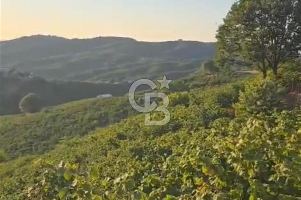 HENDEK DEREKÖY YOLA 155 M CEPHE İÇİNDE EV OLAN 0.40 KONUT İMARLI