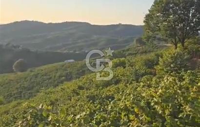 HENDEK DEREKÖY YOLA 155 M CEPHE İÇİNDE EV OLAN 0.40 KONUT İMARLI