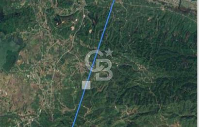 HENDEK DEREKÖY YOLA 155 M CEPHE İÇİNDE EV OLAN 0.40 KONUT İMARLI