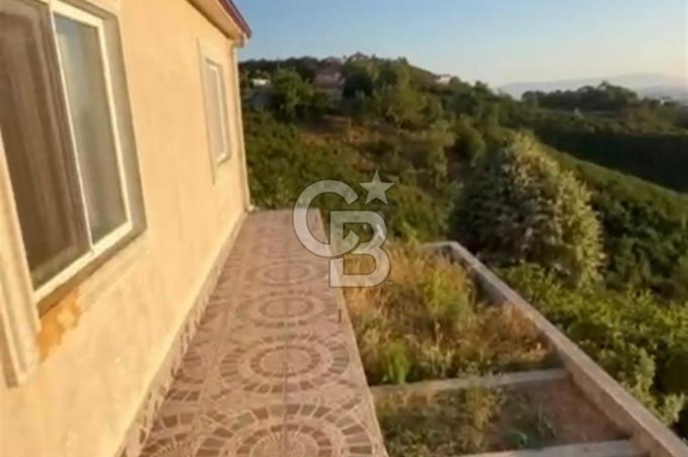 HENDEK DEREKÖY YOLA 155 M CEPHE İÇİNDE EV OLAN 0.40 KONUT İMARLI