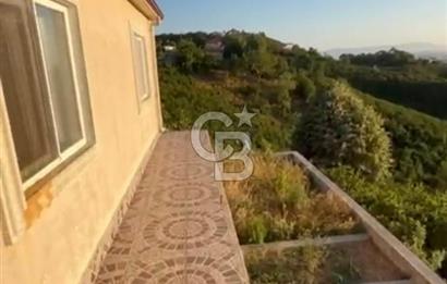 HENDEK DEREKÖY YOLA 155 M CEPHE İÇİNDE EV OLAN 0.40 KONUT İMARLI