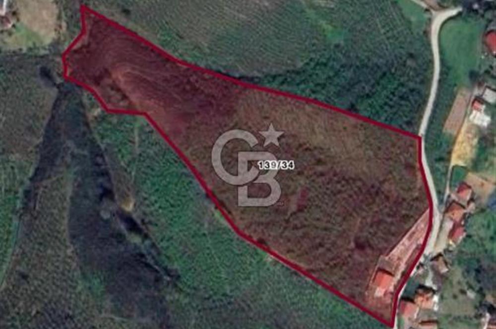 HENDEK DEREKÖY YOLA 155 M CEPHE İÇİNDE EV OLAN 0.40 KONUT İMARLI