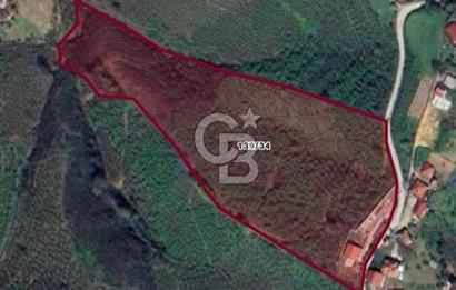 HENDEK DEREKÖY YOLA 155 M CEPHE İÇİNDE EV OLAN 0.40 KONUT İMARLI