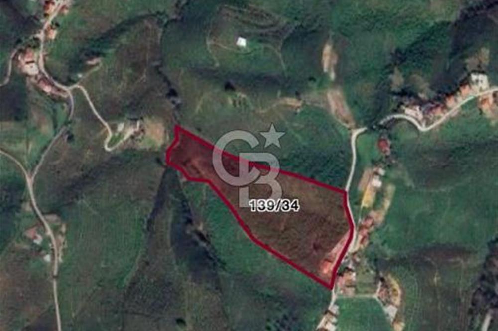 HENDEK DEREKÖY YOLA 155 M CEPHE İÇİNDE EV OLAN 0.40 KONUT İMARLI