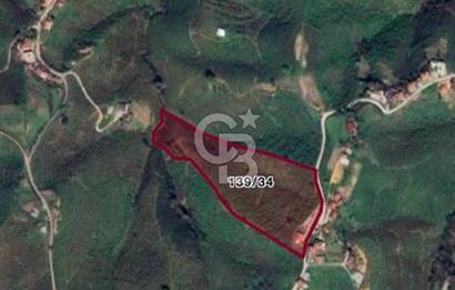 HENDEK DEREKÖY YOLA 155 M CEPHE İÇİNDE EV OLAN 0.40 KONUT İMARLI