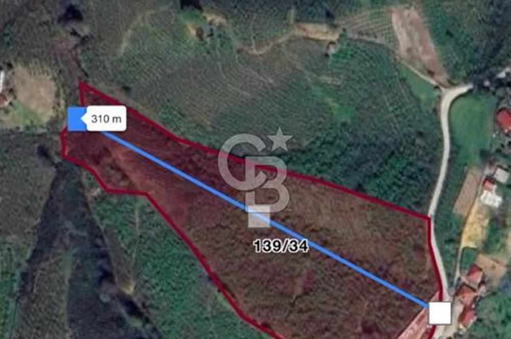 HENDEK DEREKÖY YOLA 155 M CEPHE İÇİNDE EV OLAN 0.40 KONUT İMARLI