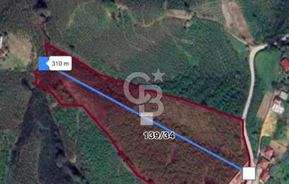 HENDEK DEREKÖY YOLA 155 M CEPHE İÇİNDE EV OLAN 0.40 KONUT İMARLI