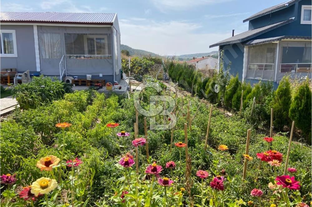 Şehir Merkezine 15 Km Göl manzaralı 35 m² Evli Hobi Bahçesi