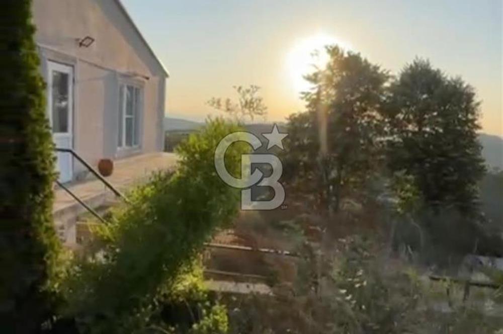 HENDEK DEREKÖY YOLA 155 M CEPHE İÇİNDE EV OLAN 0.40 KONUT İMARLI