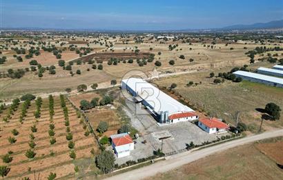 CB OPİA'DAN " ÇALIŞIR DURUMDA FULL OTOMASYON TAVUK ÇİFTLİĞİ "