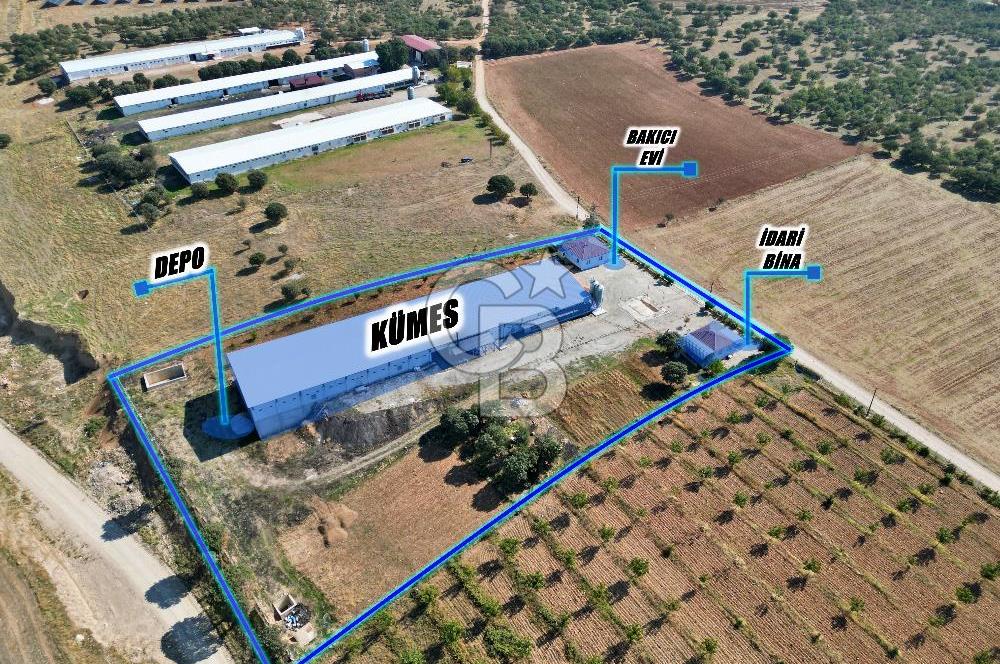 CB OPİA'DAN " ÇALIŞIR DURUMDA FULL OTOMASYON TAVUK ÇİFTLİĞİ "