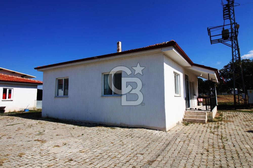 CB OPİA'DAN " ÇALIŞIR DURUMDA FULL OTOMASYON TAVUK ÇİFTLİĞİ "