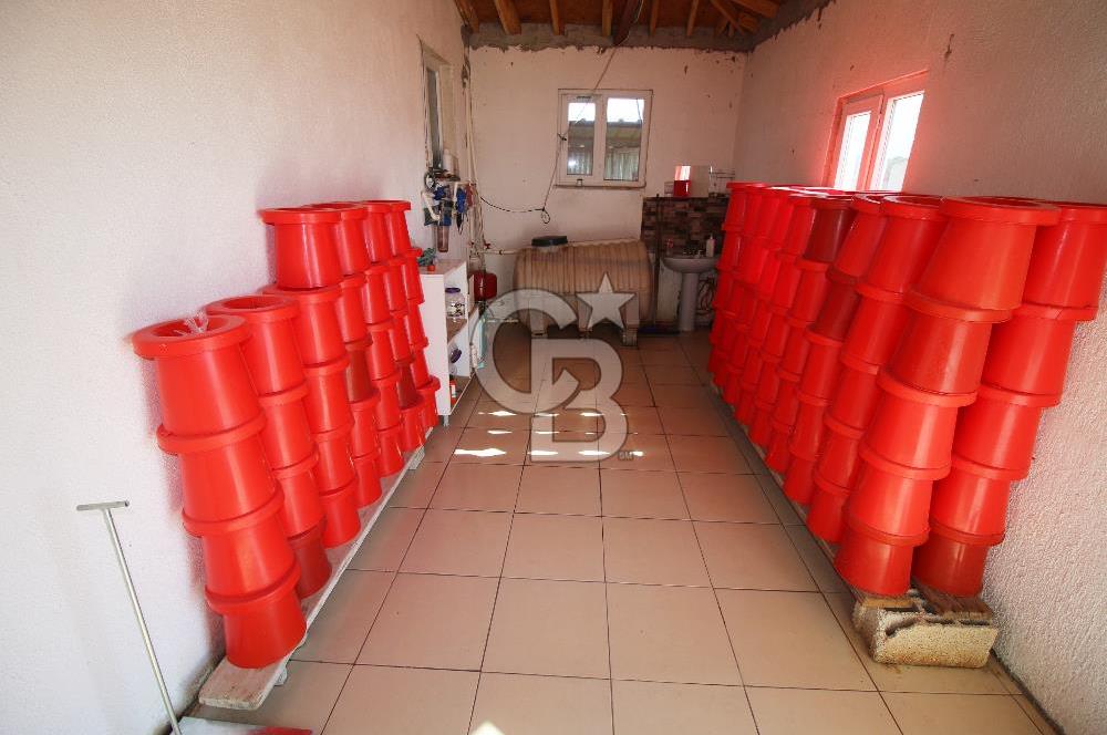 CB OPİA'DAN " ÇALIŞIR DURUMDA FULL OTOMASYON TAVUK ÇİFTLİĞİ "