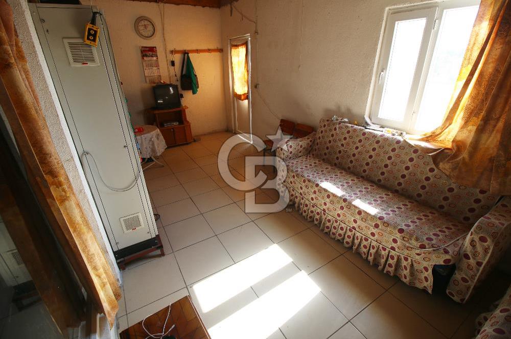 CB OPİA'DAN " ÇALIŞIR DURUMDA FULL OTOMASYON TAVUK ÇİFTLİĞİ "