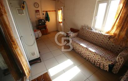 CB OPİA'DAN " ÇALIŞIR DURUMDA FULL OTOMASYON TAVUK ÇİFTLİĞİ "