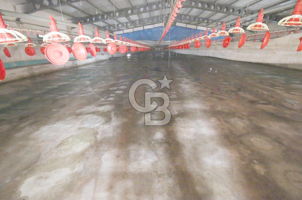 CB OPİA'DAN " ÇALIŞIR DURUMDA FULL OTOMASYON TAVUK ÇİFTLİĞİ "