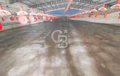CB OPİA'DAN " ÇALIŞIR DURUMDA FULL OTOMASYON TAVUK ÇİFTLİĞİ "