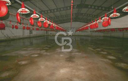 CB OPİA'DAN " ÇALIŞIR DURUMDA FULL OTOMASYON TAVUK ÇİFTLİĞİ "