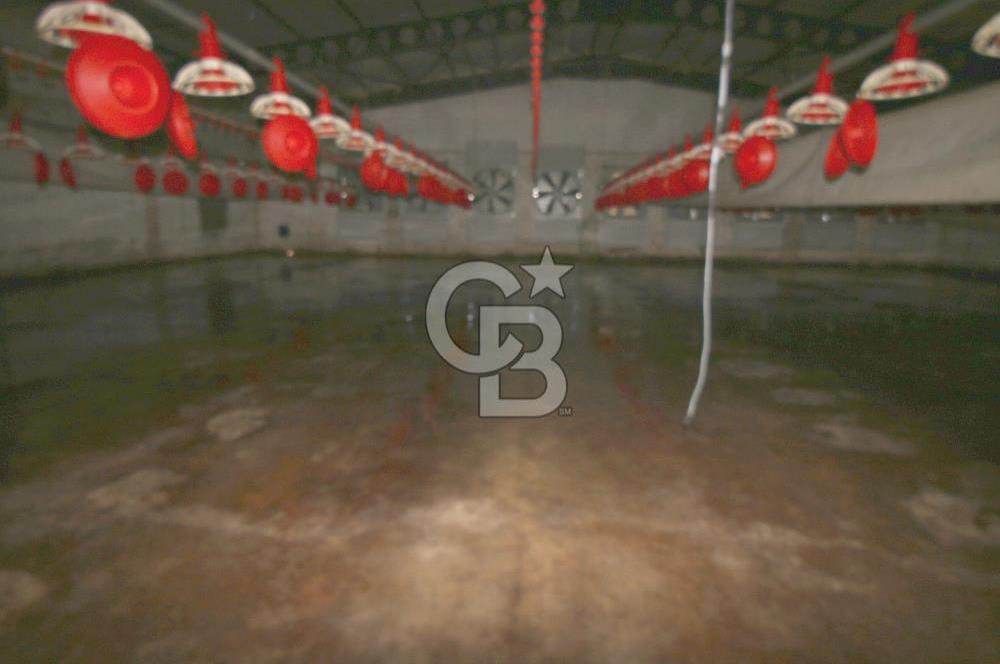 CB OPİA'DAN " ÇALIŞIR DURUMDA FULL OTOMASYON TAVUK ÇİFTLİĞİ "