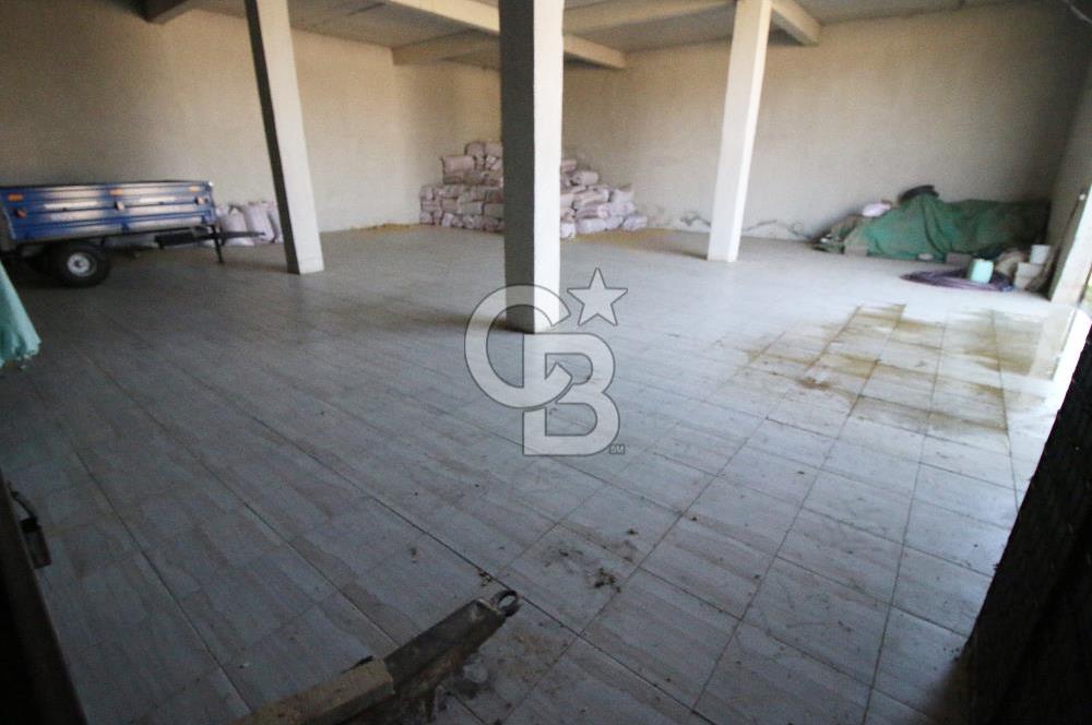 CB OPİA'DAN " ÇALIŞIR DURUMDA FULL OTOMASYON TAVUK ÇİFTLİĞİ "