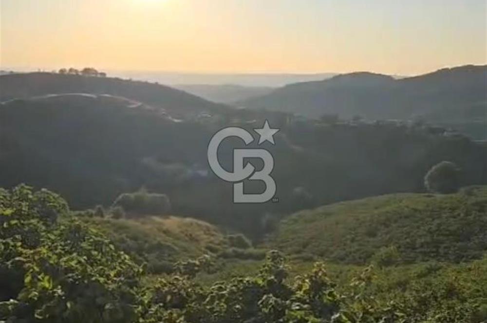 HENDEK DEREKÖY YOLA 155 M CEPHE İÇİNDE EV OLAN 0.40 KONUT İMARLI