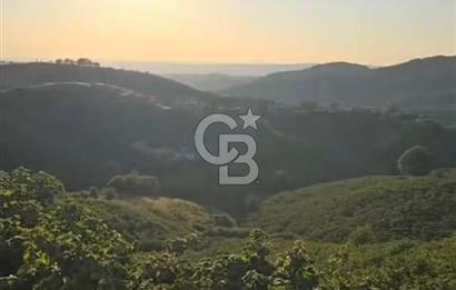 HENDEK DEREKÖY YOLA 155 M CEPHE İÇİNDE EV OLAN 0.40 KONUT İMARLI