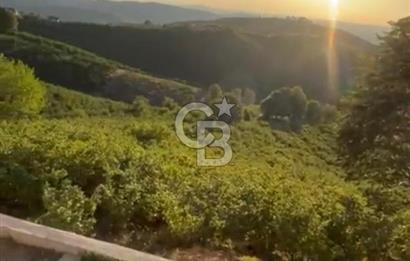 HENDEK DEREKÖY YOLA 155 M CEPHE İÇİNDE EV OLAN 0.40 KONUT İMARLI