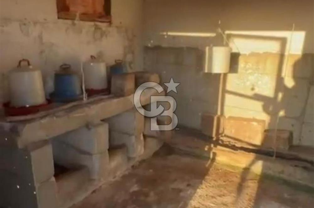 HENDEK DEREKÖY YOLA 155 M CEPHE İÇİNDE EV OLAN 0.40 KONUT İMARLI